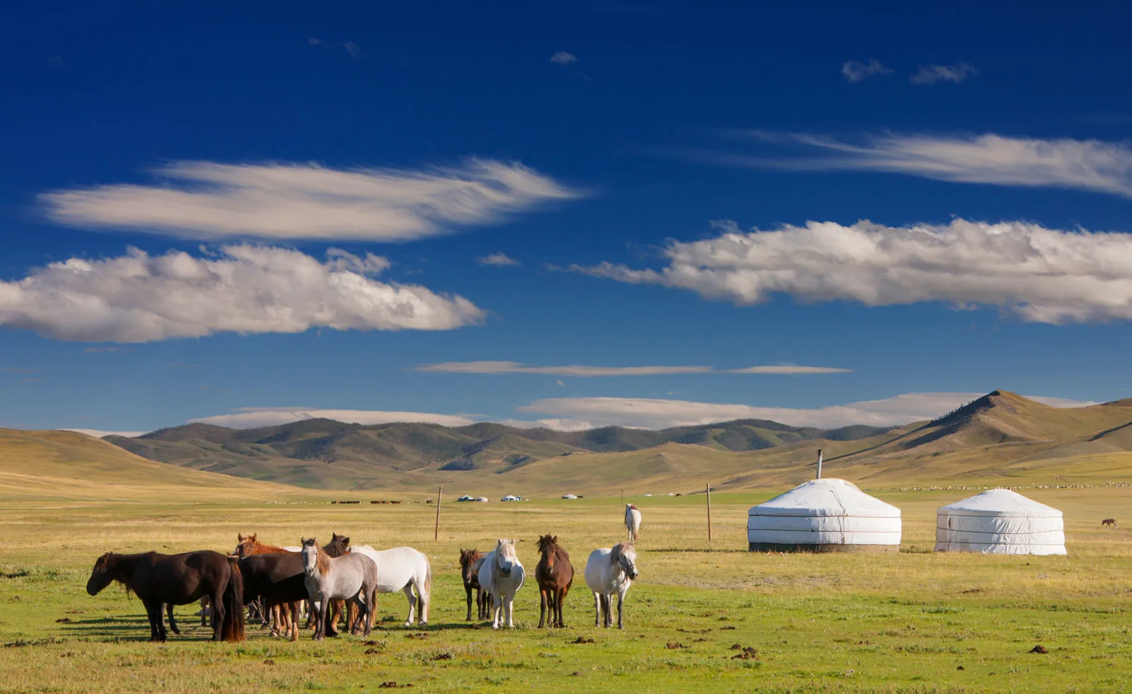 Mongolia vacation packages | Mongolian tour packages